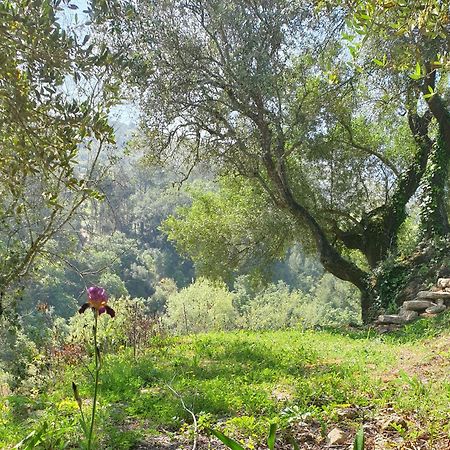 Casa Das Janelinhas - Cottage Near Sintra, Mafra, Ericeira 外观 照片