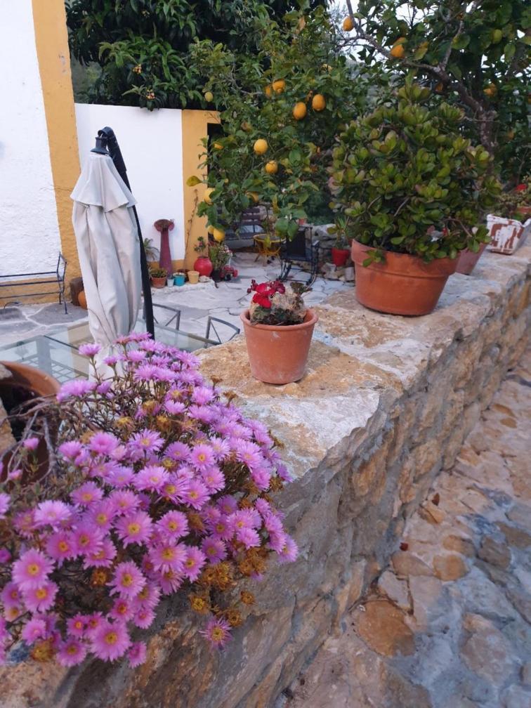 Casa Das Janelinhas - Cottage Near Sintra, Mafra, Ericeira 外观 照片
