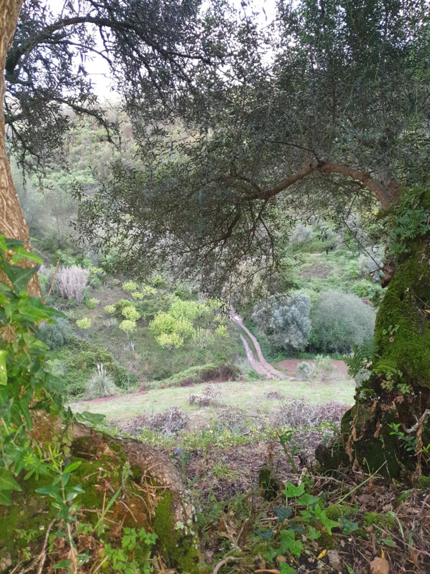 Casa Das Janelinhas - Cottage Near Sintra, Mafra, Ericeira 外观 照片