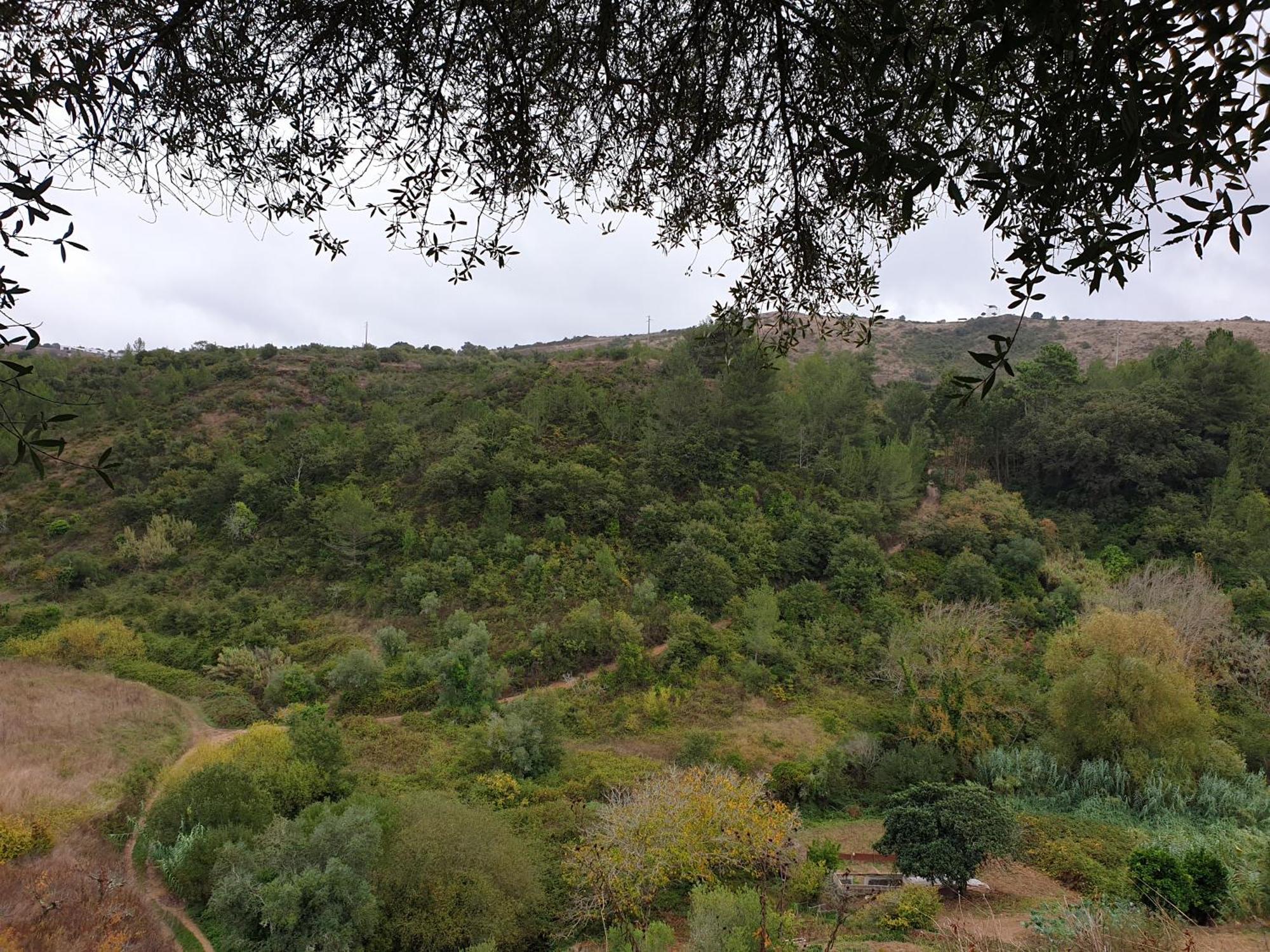 Casa Das Janelinhas - Cottage Near Sintra, Mafra, Ericeira 外观 照片